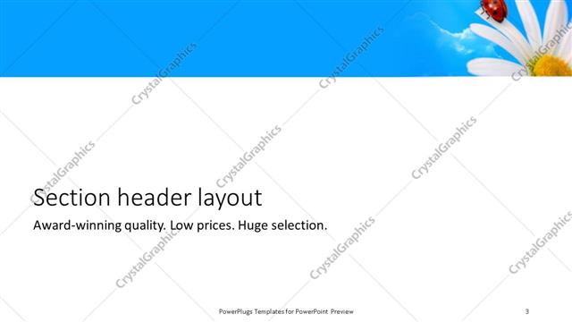 Section Header presentation slide layout