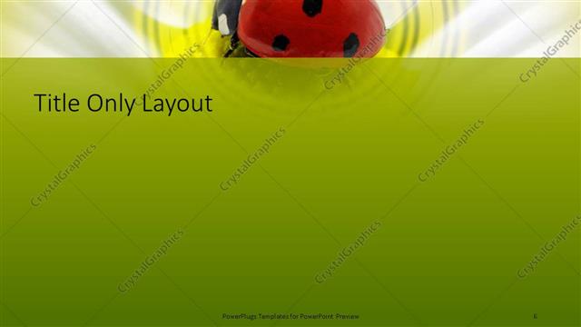 Title Only presentation slide layout