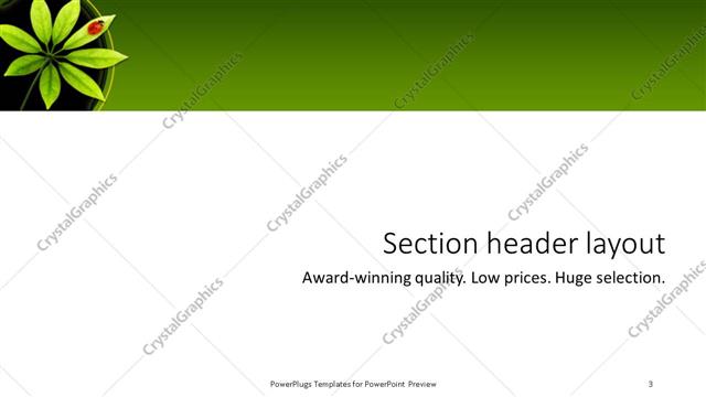 Section Header presentation slide layout