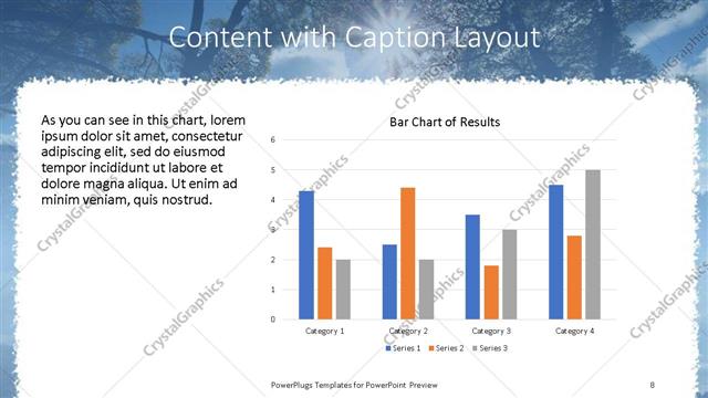 Content with Caption presentation slide layout