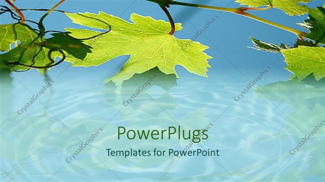  Presentation with lake - A lake with a number of leaves and place for text