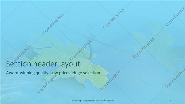 Section Header presentation slide layout