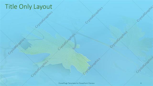 Title Only presentation slide layout