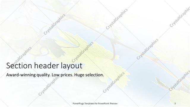 Section Header presentation slide layout