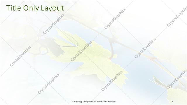 Title Only presentation slide layout