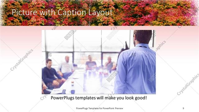 Picture with Caption presentation slide layout