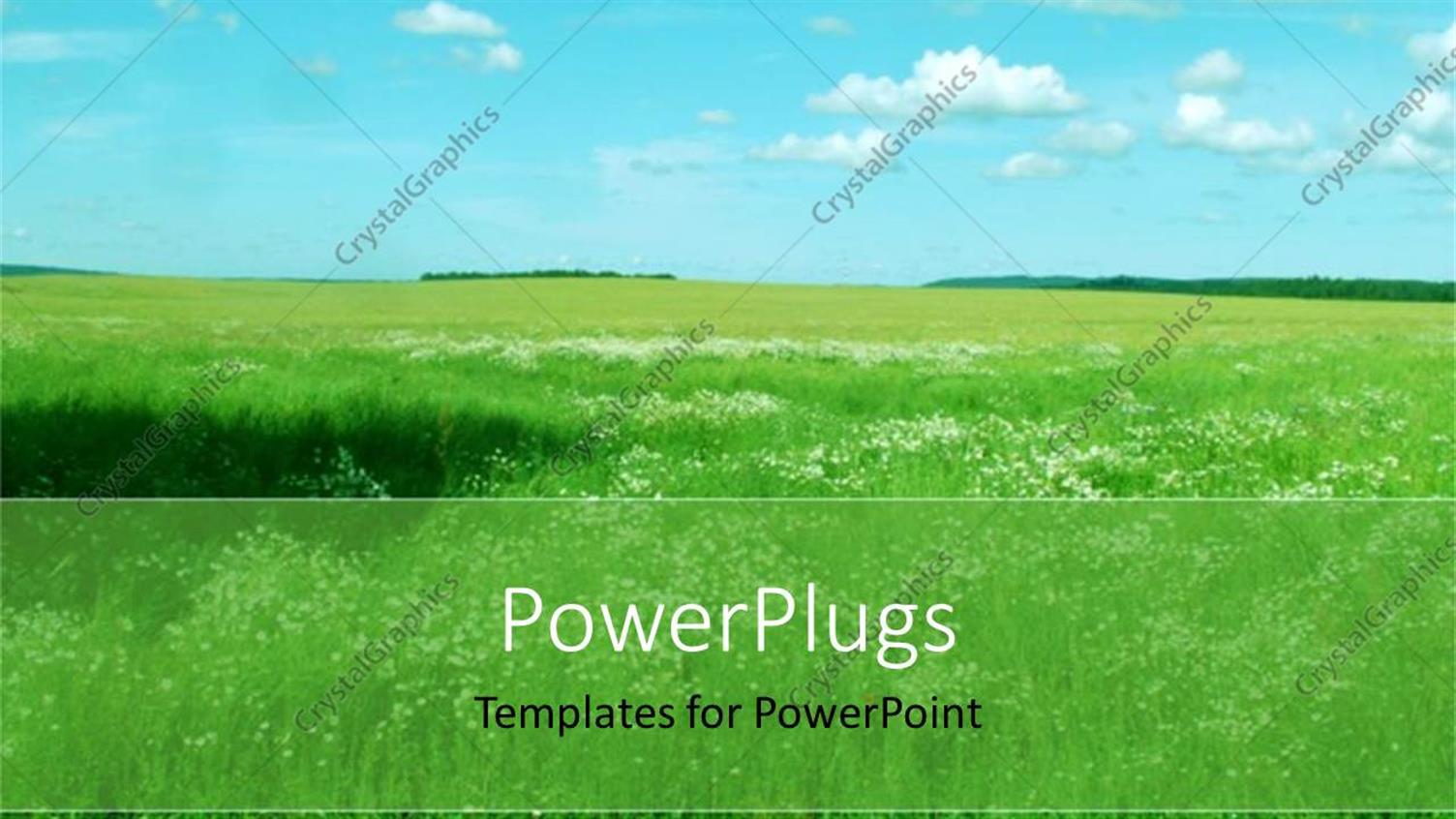 Premium Template for PowerPoint & Google Slides 