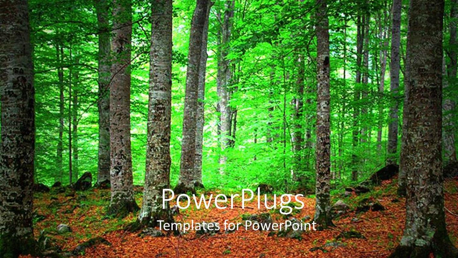 Premium Template for PowerPoint & Google Slides 