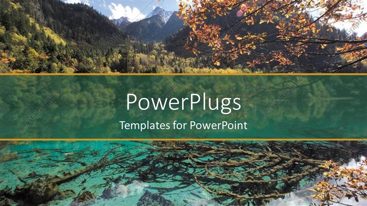 Premium Template for PowerPoint & Google Slides 
