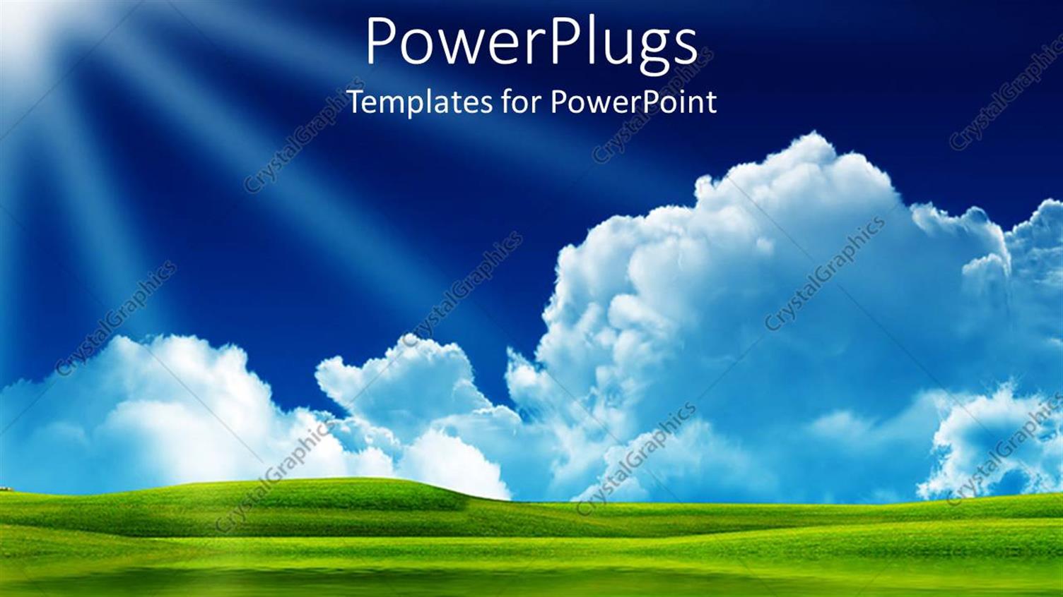 Premium Template for PowerPoint & Google Slides 