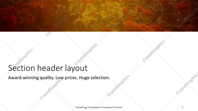 Section Header presentation slide layout