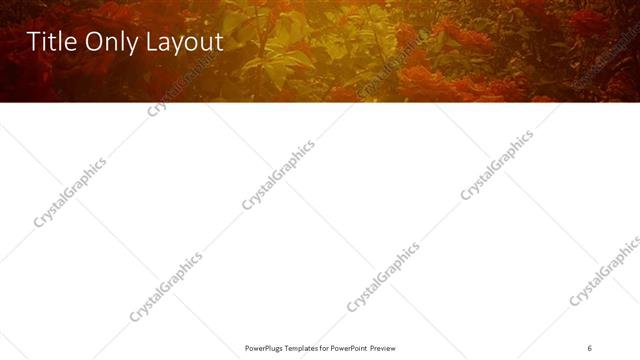 Title Only presentation slide layout