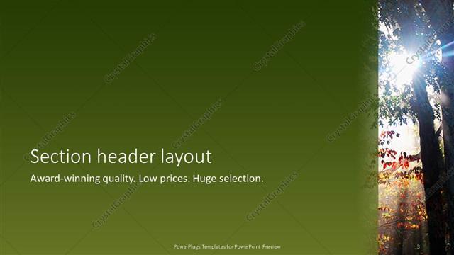 Section Header presentation slide layout