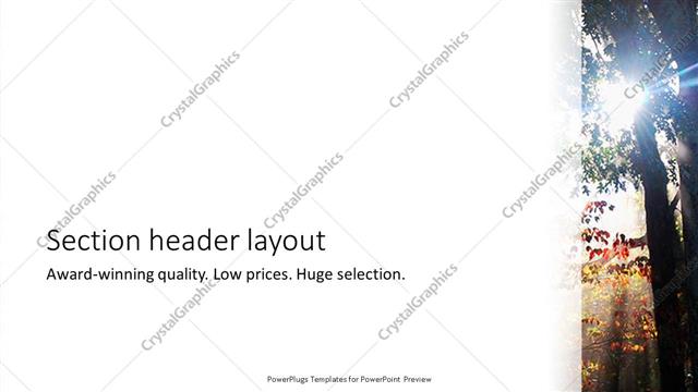Section Header presentation slide layout