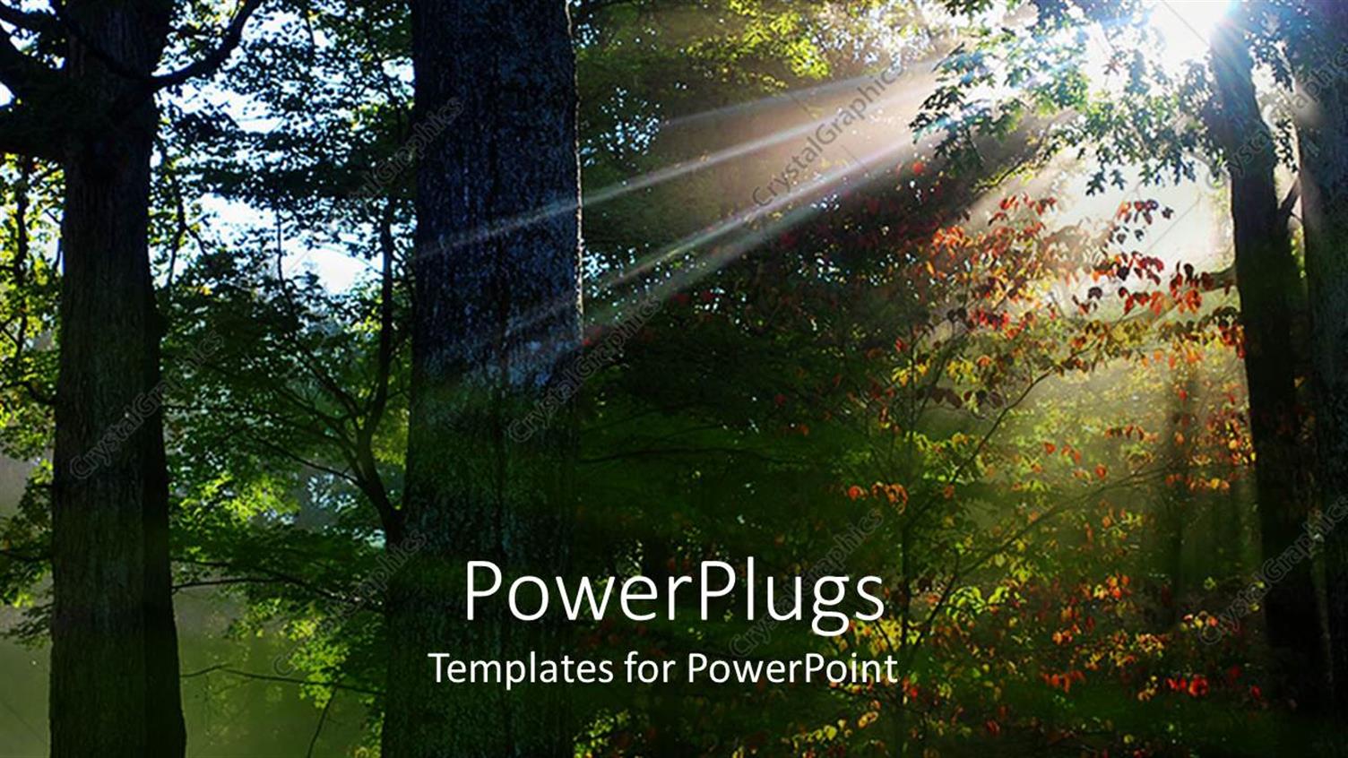 Premium Template for PowerPoint & Google Slides 