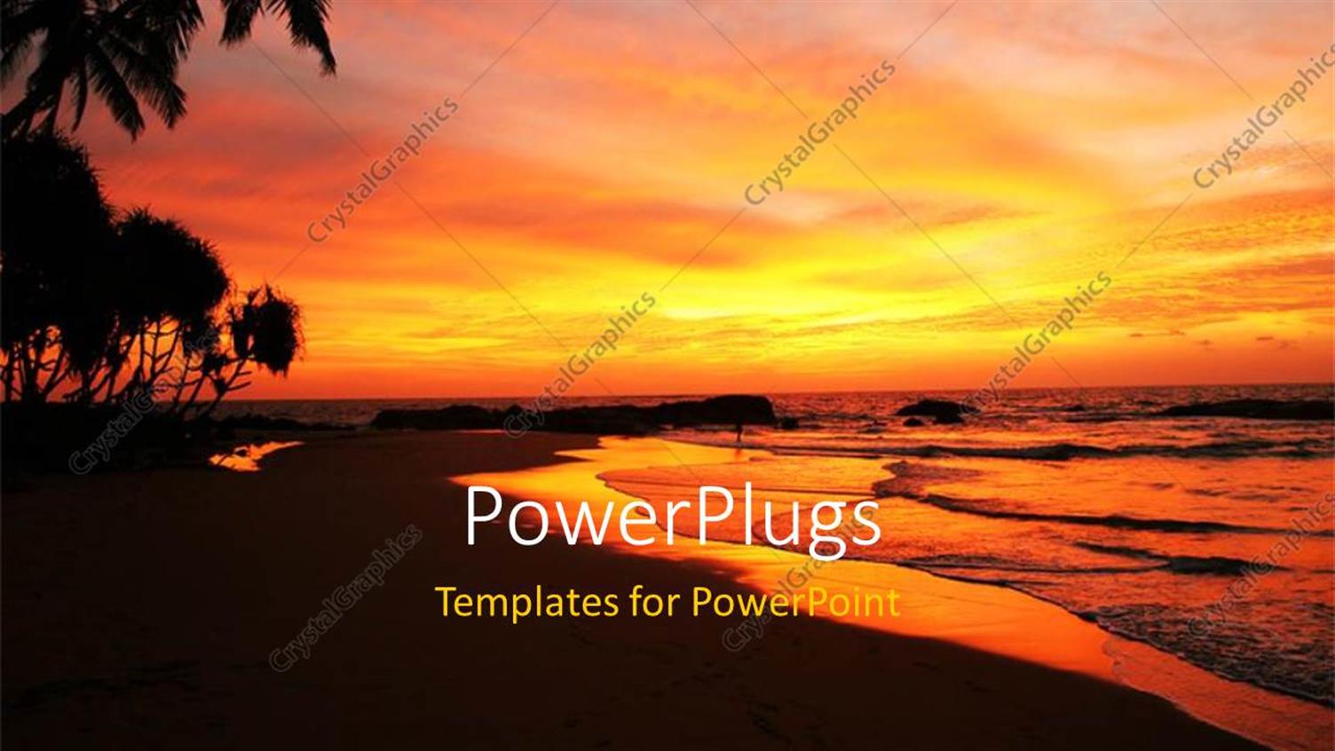Featuring LAndscape of Tropical Beach with Palms and Sunset on Horizon