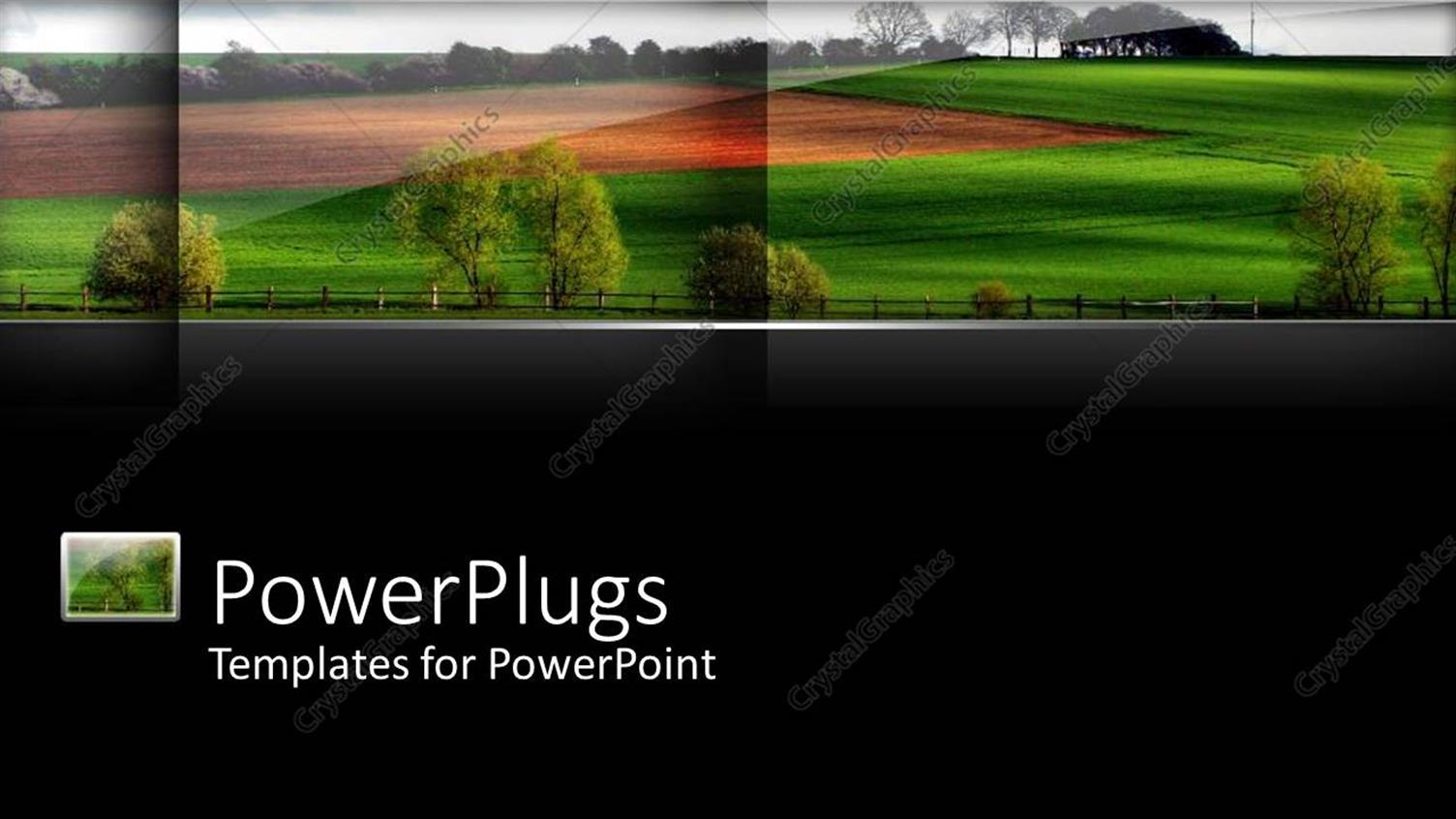 Premium Template for PowerPoint & Google Slides 