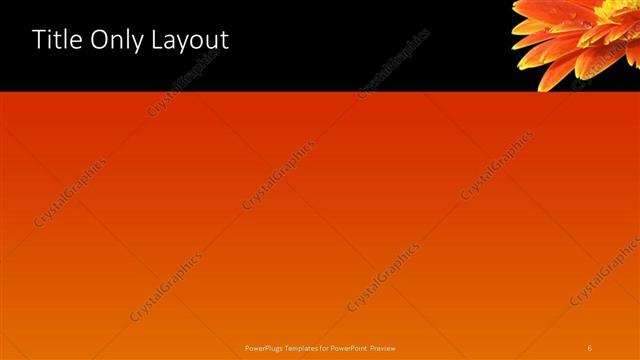 Title Only presentation slide layout