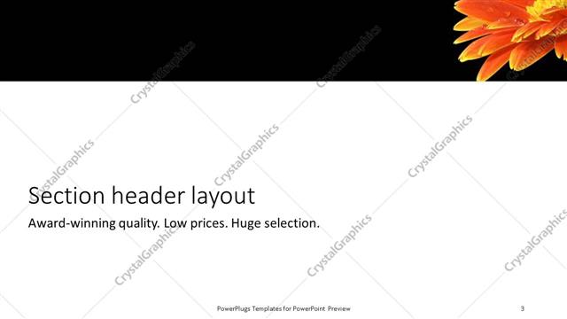 Section Header presentation slide layout