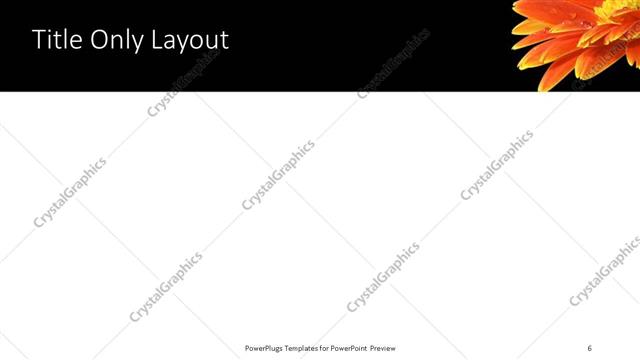 Title Only presentation slide layout