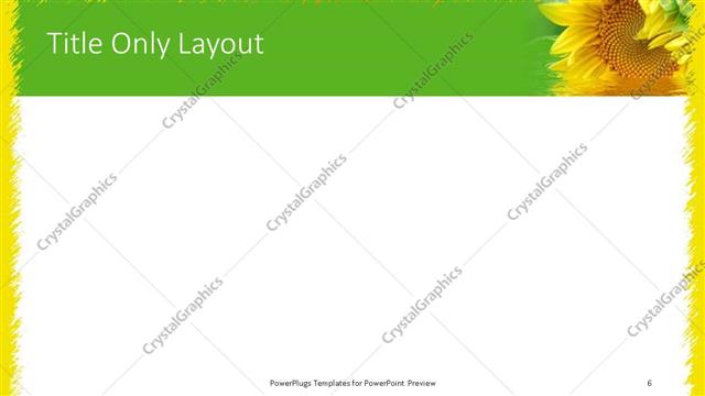 Title Only presentation slide layout