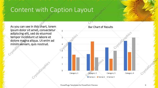 Content with Caption presentation slide layout