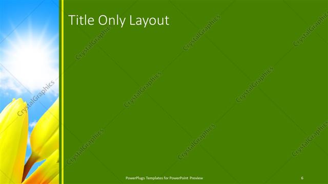 Title Only presentation slide layout