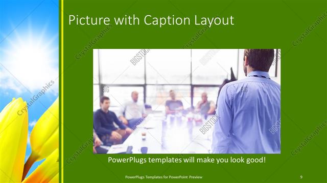 Picture with Caption presentation slide layout