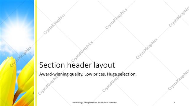Section Header presentation slide layout
