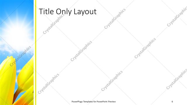 Title Only presentation slide layout