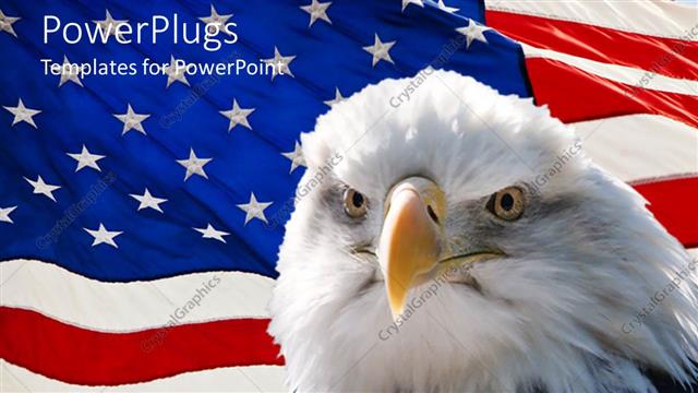  Presentation with eagle - Large black and white  eagle with a USA flag background