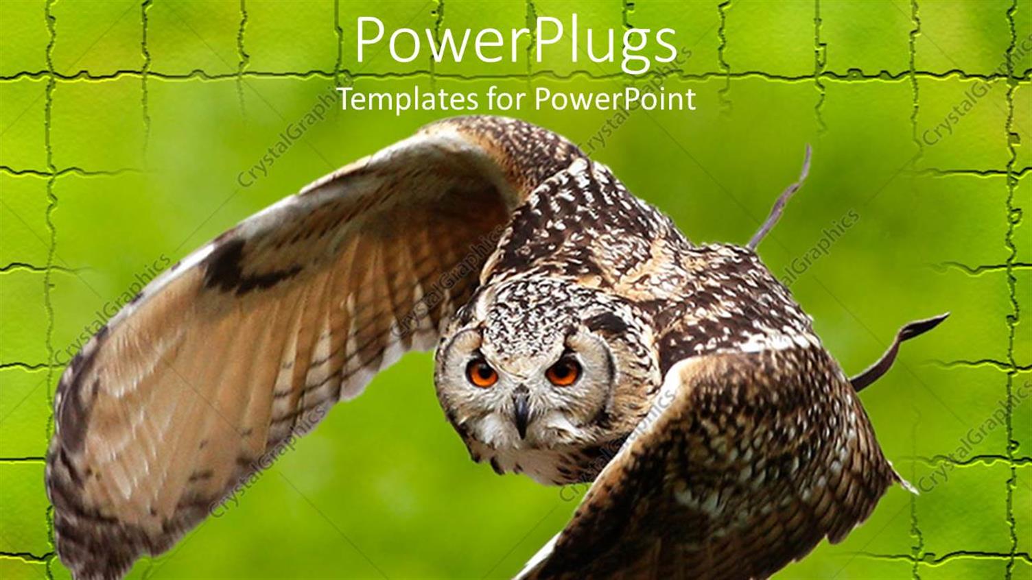 Premium Template for PowerPoint & Google Slides 