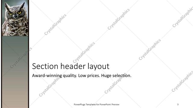 Section Header presentation slide layout