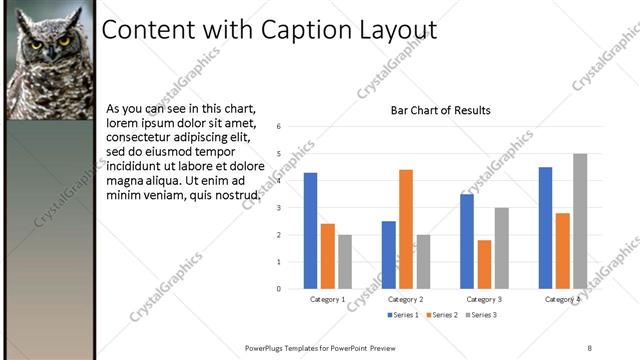 Content with Caption presentation slide layout