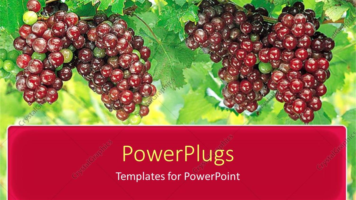 Premium Template for PowerPoint & Google Slides 