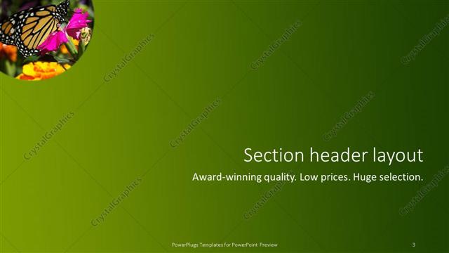 Section Header presentation slide layout