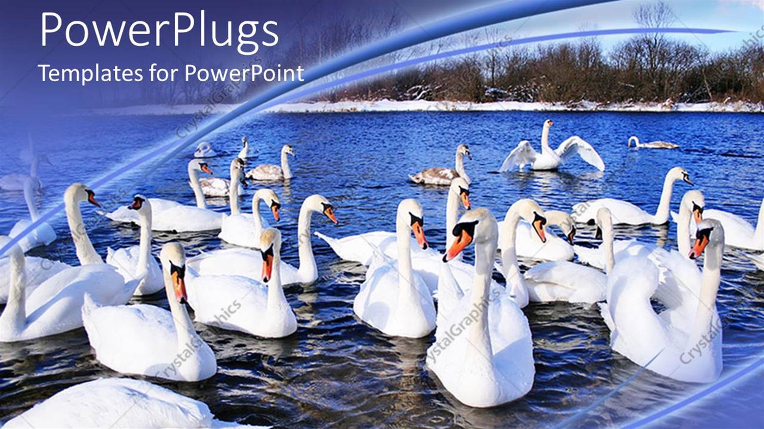 Premium Template for PowerPoint & Google Slides 