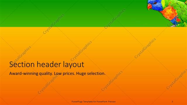 Section Header presentation slide layout