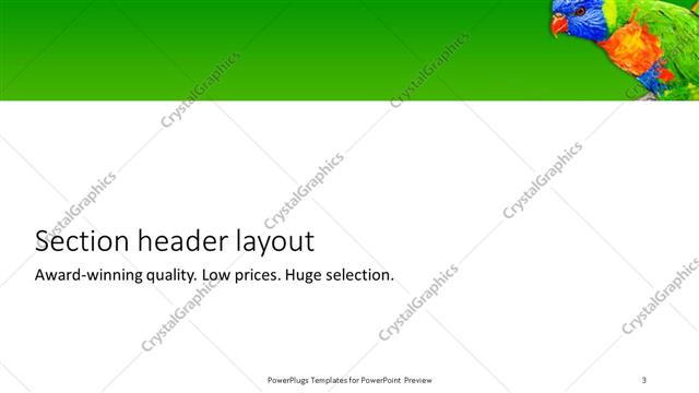 Section Header presentation slide layout