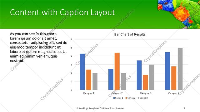 Content with Caption presentation slide layout