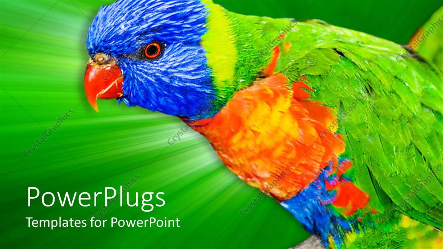 Premium Template for PowerPoint & Google Slides 