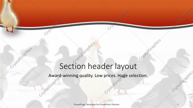 Section Header presentation slide layout