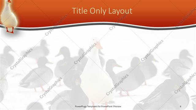 Title Only presentation slide layout