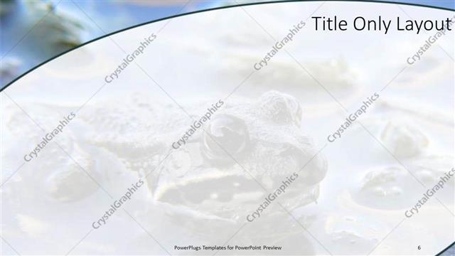 Title Only presentation slide layout
