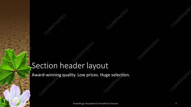 Section Header presentation slide layout