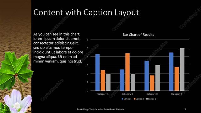 Content with Caption presentation slide layout