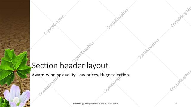 Section Header presentation slide layout