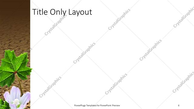 Title Only presentation slide layout