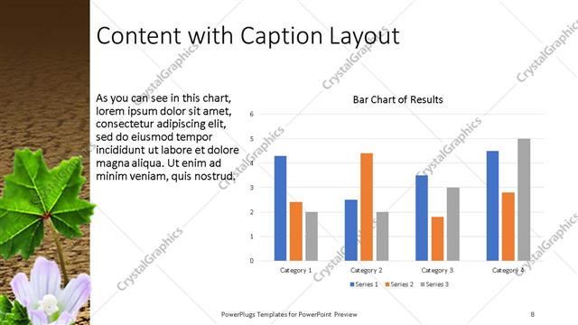 Content with Caption presentation slide layout