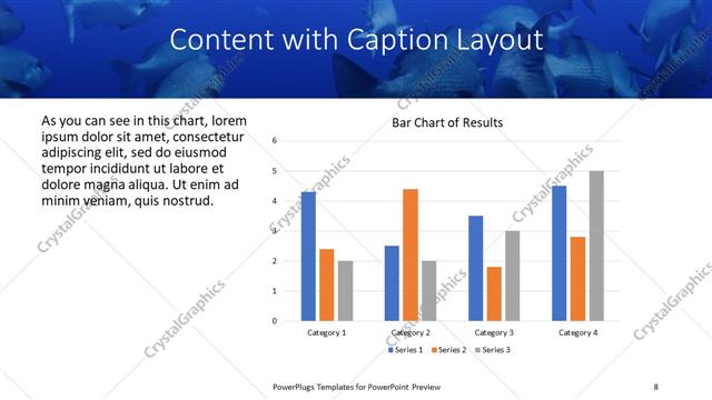 Content with Caption presentation slide layout